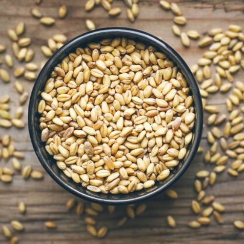 Wheat Supplier in Gujarat | Annirudha Worldwide